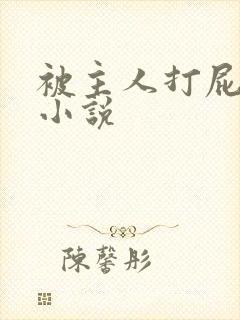 被主人打屁股的小说