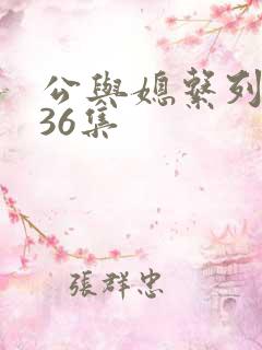 公与媳系列1—36集