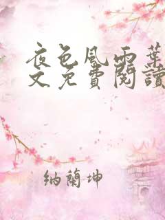 夜色风雨叶飞全文免费阅读