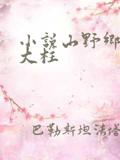 小说山野乡村刘大柱
