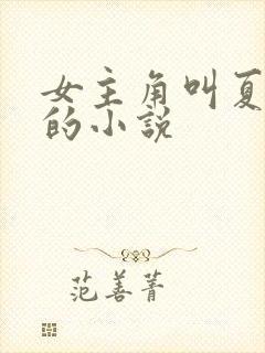 女主角叫夏之晴的小说