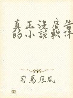 真正没广告免费的小说软件