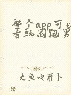 哪个app可以看韩国跑男
