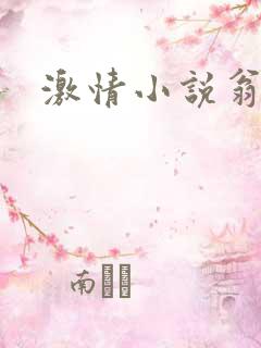 激情小说翁媳