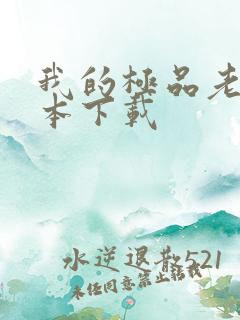 我的极品老婆全本下载
