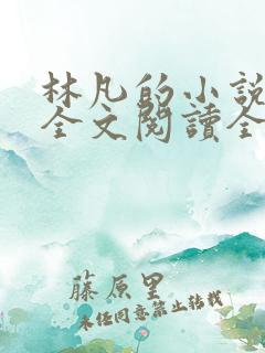 林凡的小说免费全文阅读全文