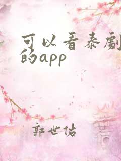 可以看泰剧小说的app