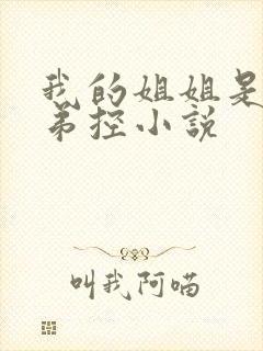 我的姐姐是病娇弟控小说