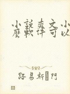 小说爽文小说什么软件可以看免费