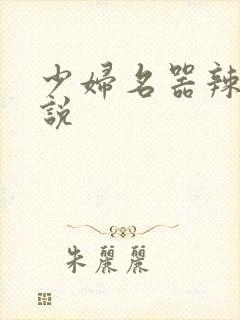 少妇名器辣文小说