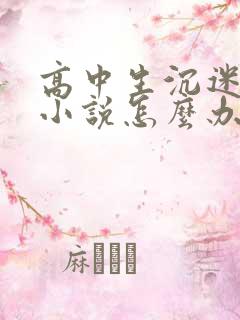高中生沉迷网络小说怎么办