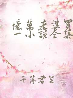 亿万老婆买一送一小说全集