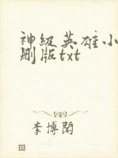 神级英雄小说未删版txt