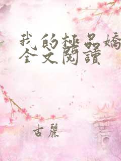 我的极品娇妻 全文阅读