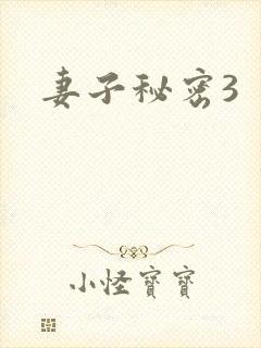 妻子秘密3