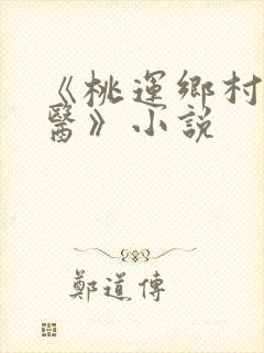 《桃运乡村小神医》小说
