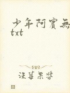 少年阿宾无删减txt