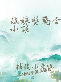 姐妹双飞合家欢小说