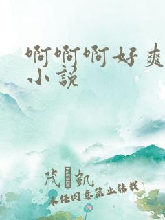 啊啊啊好爽高h小说