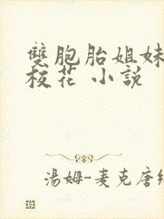 双胞胎姐妹花 校花 小说