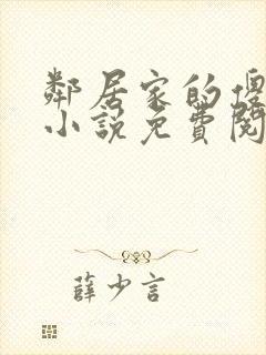 邻居家的傻妹妹小说免费阅读全文