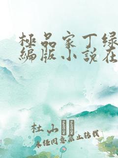 极品家丁绿帽改编版小说在哪里看