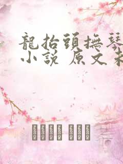 龙抬头抚琴的人小说 原文未删减