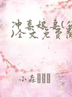 冲喜娘妻(公媳)全文免费阅读