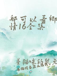 哪可以看乡村爱情16全集