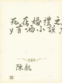 死在婚礼之前by有酒小说免费阅读