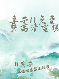 妻子11免费完整高清电视剧在线看