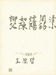 柳如烟周清敏师父陈阳的小说