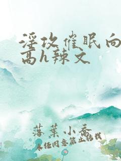 淫攻催眠向np高h辣文