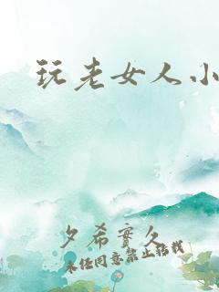 玩老女人小说