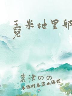 玉米地里那些事儿
