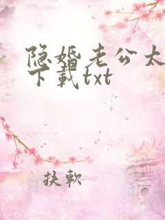 隐婚老公太神秘下载txt