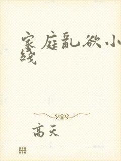家庭乱欲小说在线
