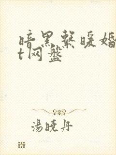 暗黑系暖婚txt网盘