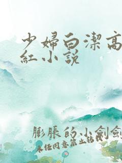 少妇白洁高义美红小说