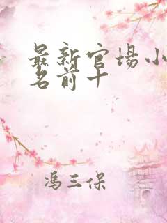 最新官场小说排名前十