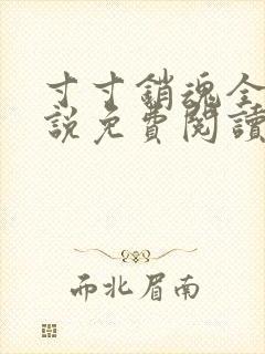 寸寸销魂全文小说免费阅读