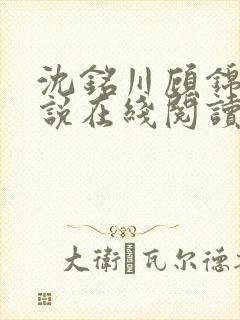沈铭川顾锦瑶小说在线阅读