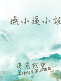 操小逼小说,