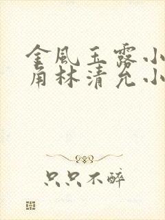 金风玉露小说主角林清允小诚