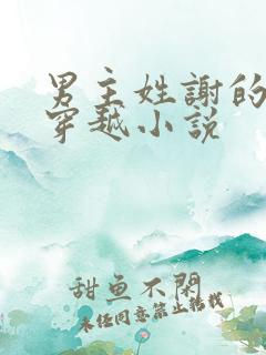 男主姓谢的古代穿越小说