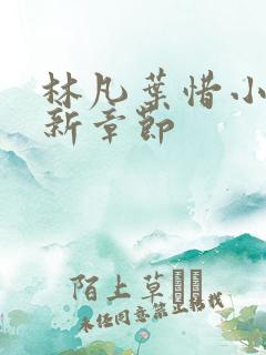 林凡叶惜小说最新章节