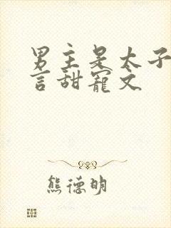 男主是太子的古言甜宠文