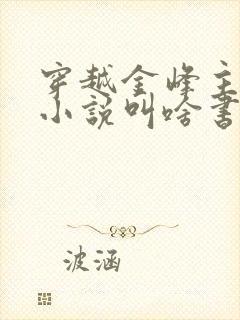 穿越金峰主角的小说叫啥书名