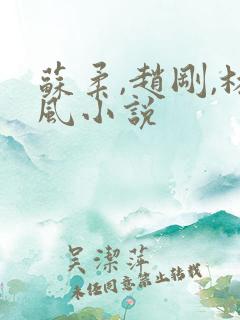 苏柔,赵刚,林风小说