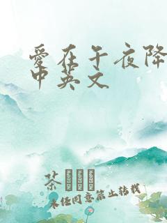 爱在午夜降临前中英文